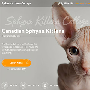 Landing Page for Sphynx Kittens College