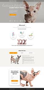 Создание лендинга питомника канадских сфинксов